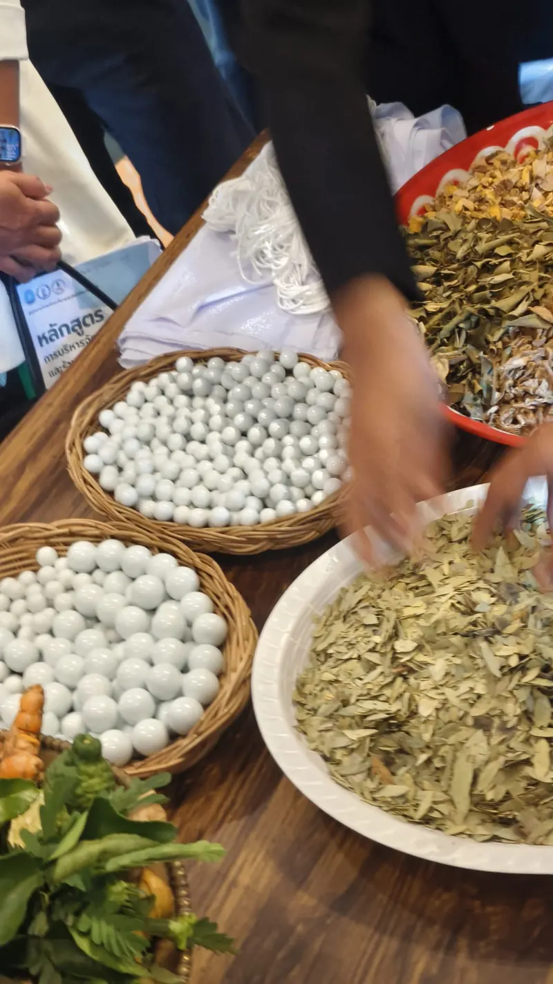 Thai herbs and herbal balls prepared for treatments